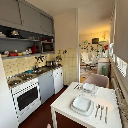 1,5 Apartment Geneva