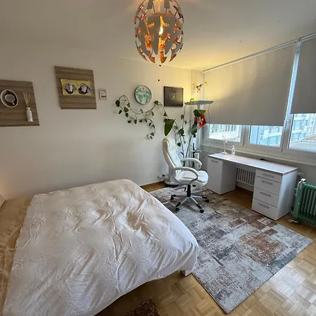 1,5 Apartment